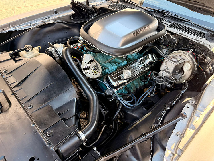 /1979-pontiac-trans-am-455