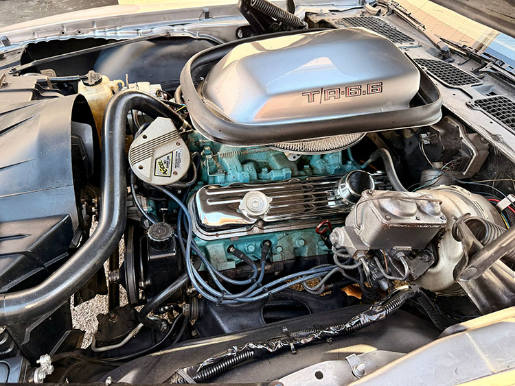 /1979-pontiac-trans-am-455