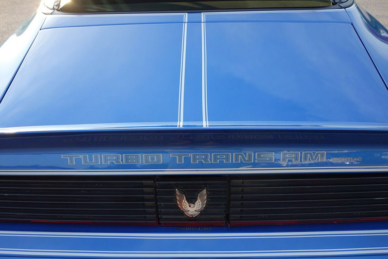 /1981-trans-am-turbo-ws6-phoenix-edition